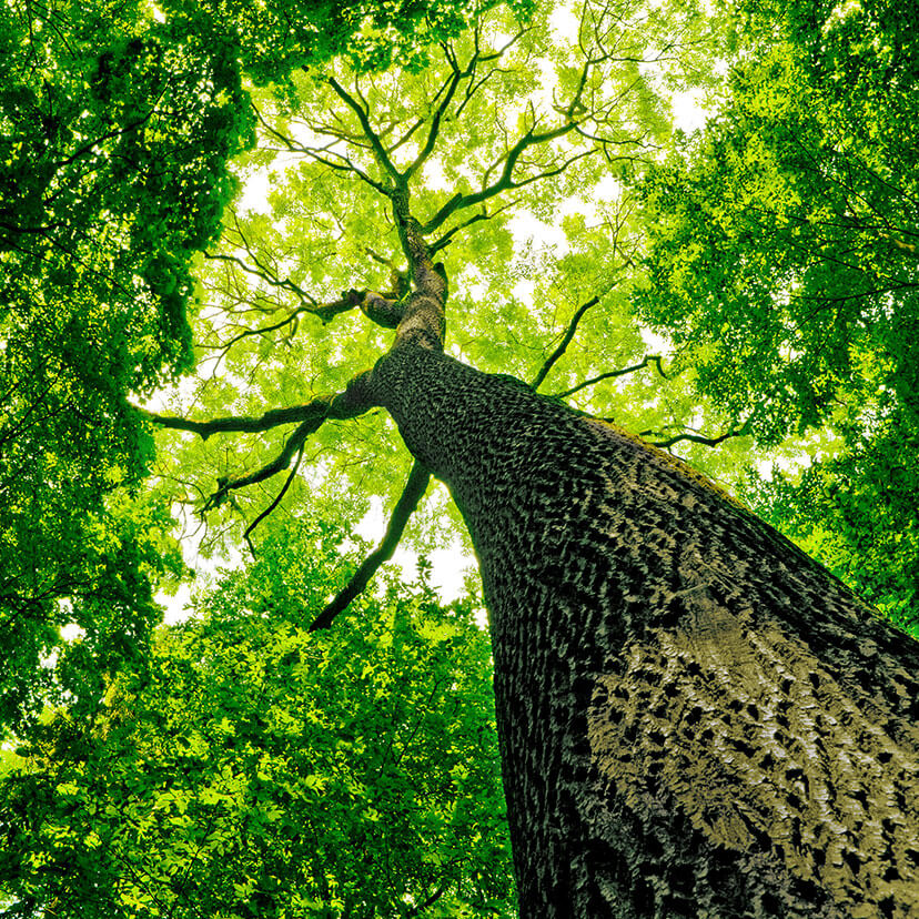 sustainable-non-woven-products